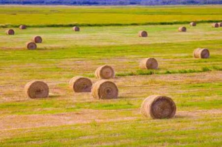 Before You Buy Land in Canada Image